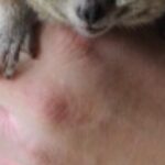 Profile photo of Otrok Jan