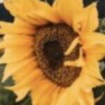 Profile photo of David Wilson
