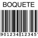 Profile photo of Matheus Borges