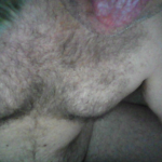 Profile photo of sispig40