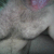 Profile photo of sispig40