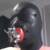 Profile photo of gerhard ralf