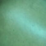 Profile photo of David M